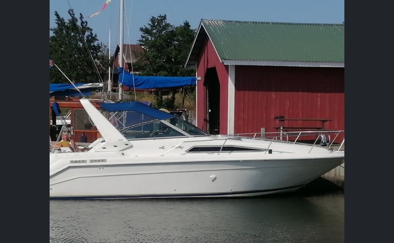 Sea Ray Sundancer 290-kuva-3